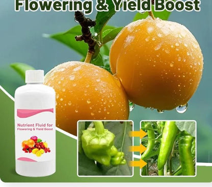 Nutrient Fluid for Flowering and Yielding Boost
